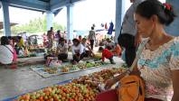 Faster Travel from the Farm to Market